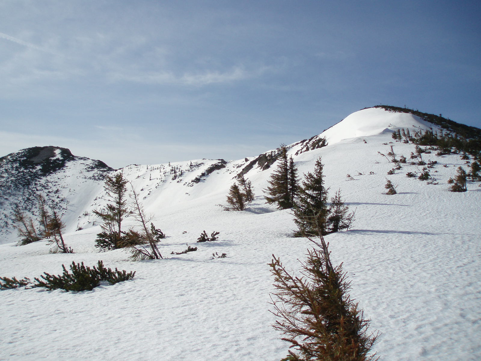 Am Hochwaldriegel.Kleiner Göller und Mitterriegel